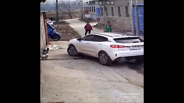 Ce pauvre chien se fait catapulter par une voiture... Pas de chance