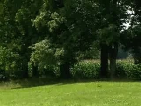 Bmw Serie3 coupe CC Coupe cabriolet