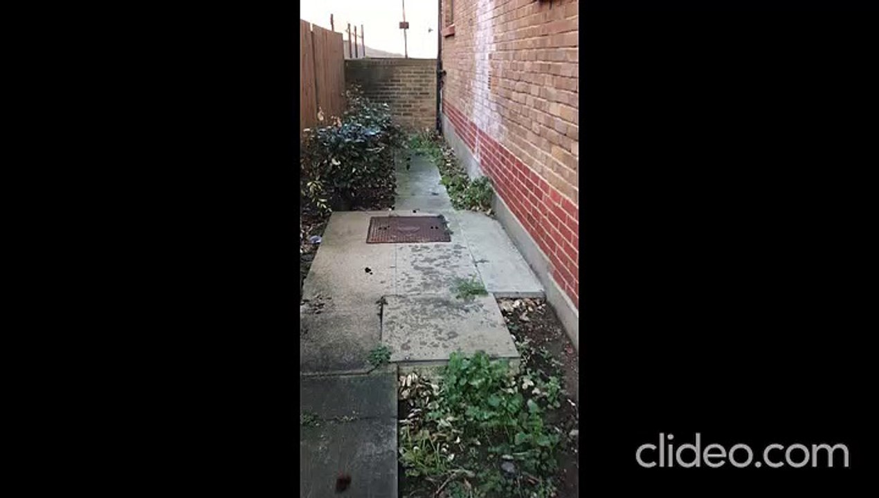 Fox released after becoming trapped in goalie n...