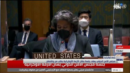 مجلس الأمن الدولي يعقد جلسة بشأن الأزمة الأوكرانية بطلب من واشنطن