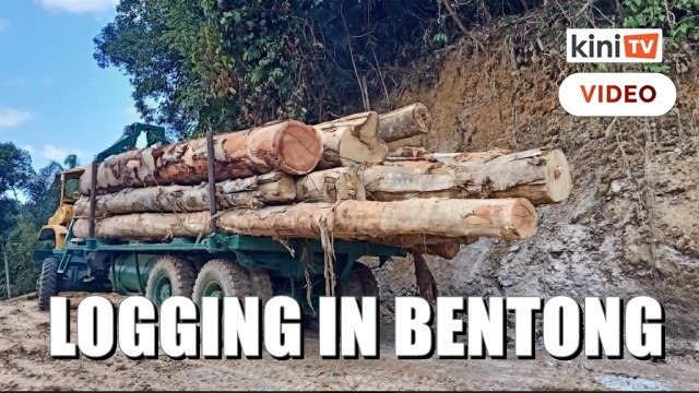 Permit, logging activities discovered in Bentong forest