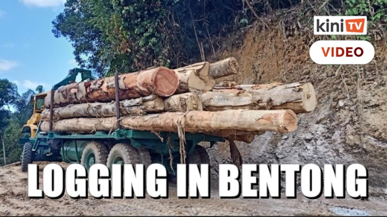 Permit, logging activities discovered in Bentong forest