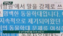 [자막뉴스] 드라마 '동물학대 촬영' 논란 확대…방심위, 심의 검토