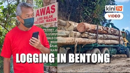 Permit, logging activities discovered in Bentong forest