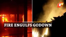 Furniture Godown Ravaged In Fire In Mumbai, No Casualties Reported