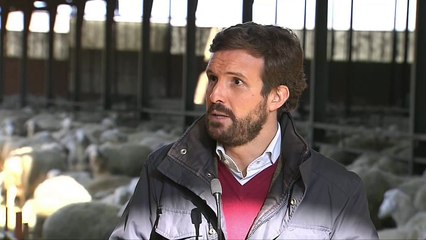 Casado: "El empleo privado en España no ha crecido, sino que aún no se ha recuperado"
