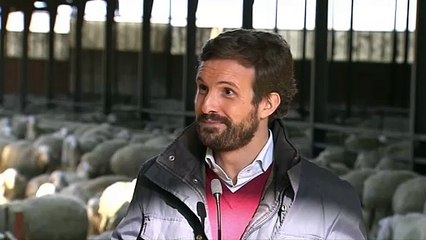 Casado: "La solución es bajar los impuestos, como ha hecho el canciller alemán socialista o el gobierno portugués socialista"
