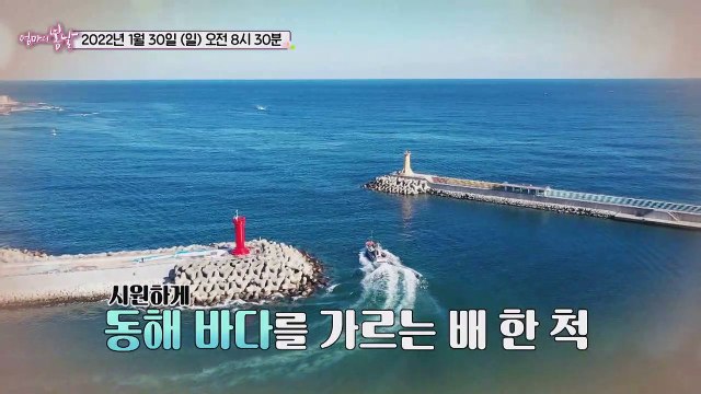 꼬부랑 엄마의 양미리 전쟁_엄마의 봄날 333회 예고 TV CHOSUN 220130 방송