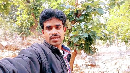 My village forest Mera Village