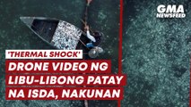 Libu-libong patay na isda, nakunan sa drone video | GMA News Feed