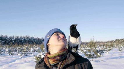 أبطال بيئيون: منقذو الطيور