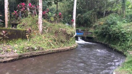 KEINDAHAN ALAM DESA PANJI, KABUPATEN BULELENG.