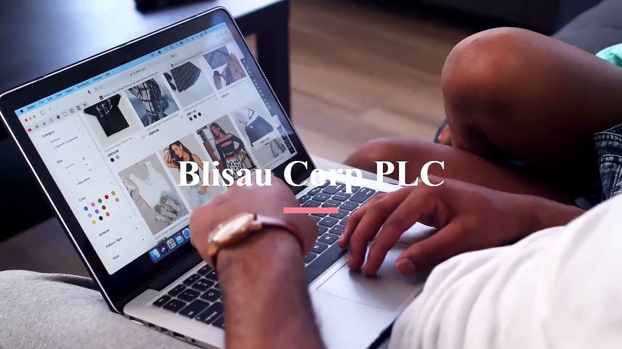 blisau-corp.com