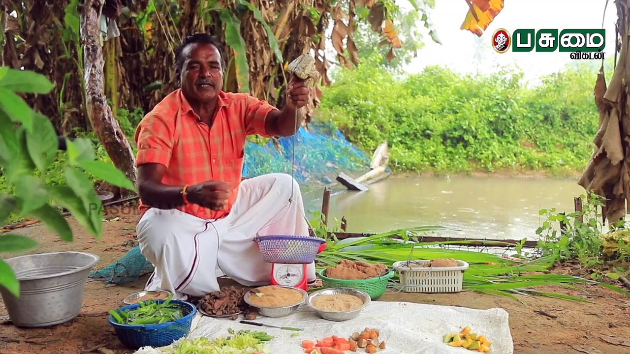 மீன் வளர்ப்பு:_என்ன செய்ய வேண்டும் ; என்ன செய்யக் கூடாது_ _ Fish Farming _ Pasumai vikatan