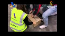 Descubren más de 2.000 kilos de cocaína en el puerto de Algeciras