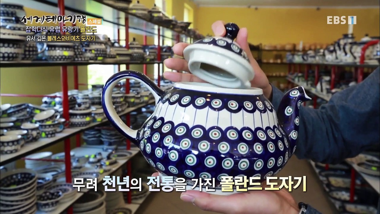 세계테마기행 - 잡학 다식 유럽 유랑기-위대한 유산, 폴란드_#003