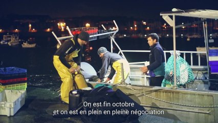 La coquille Saint-Jacques : de la mer à l’assiette