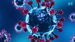 Wuhan scientists warn of new Coronavirus 'NeoCov' with high death, infection rate