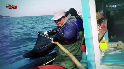 극한직업 - Extreme JOB_겨울 진미, 연근과 대방어_#001