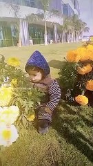 Adorable Baby Status & Updates for WhatsApp 💖