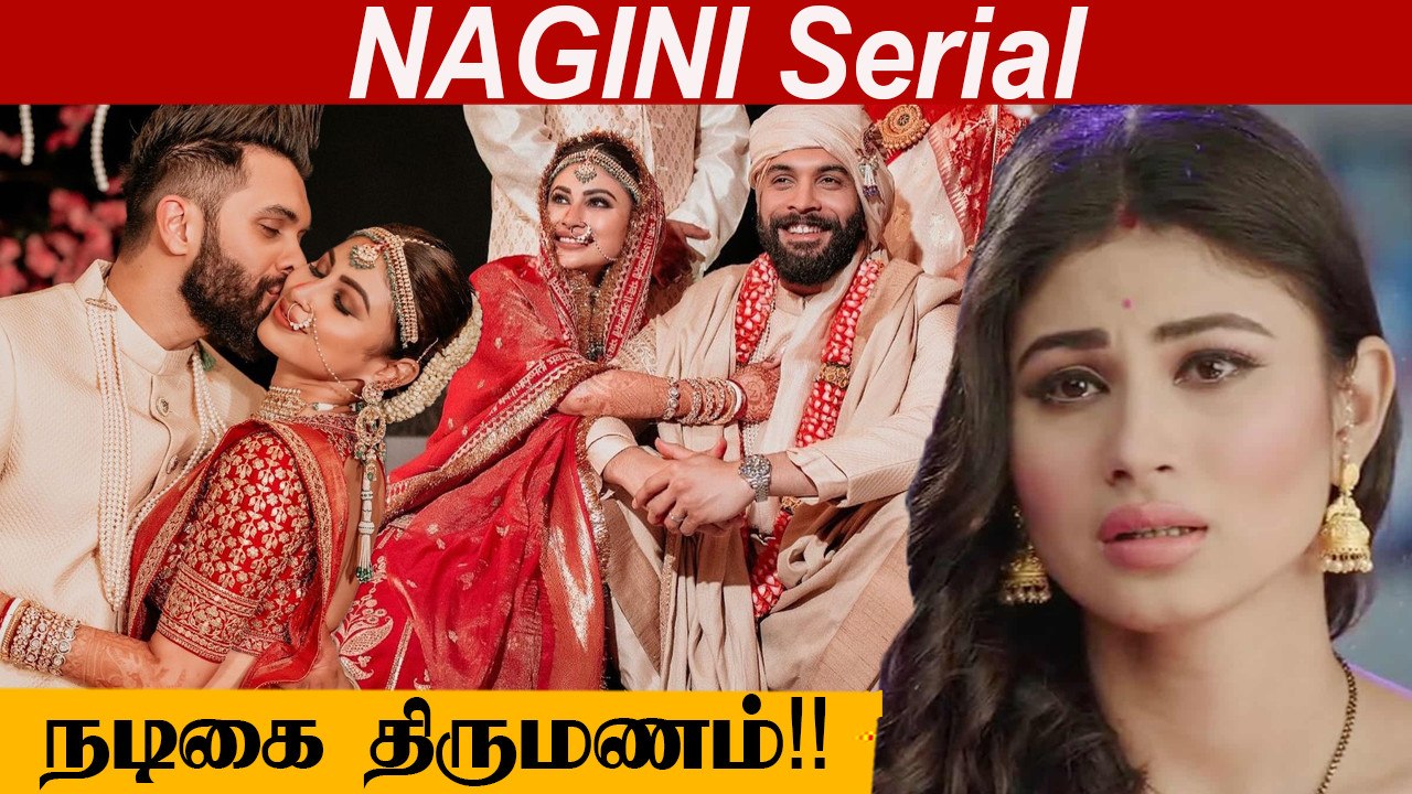 Nagini Serial நடிகை Mouni Roy திருமண வைபவம் | S...