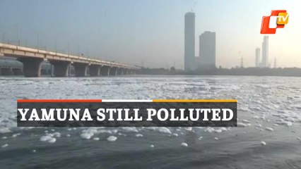WATCH | Toxic Foam Settles On Yamuna River Again, Locals React