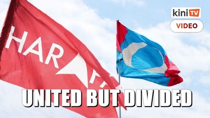 Saifuddin: Harapan united, but divided on logo