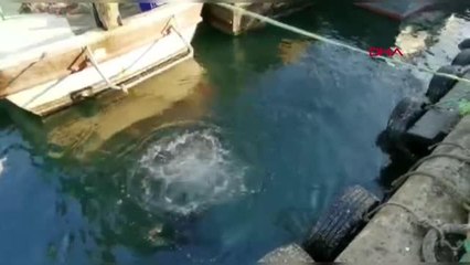 İSTANBUL-YENİKAPI'DA TROLLE KAÇAK AVCILIK YAPANLARA DENETİM