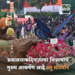 Everything You Need To Know About Maharashtra’s State Butterfly, Blue Mormon