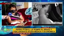 Pitbull le rompe el brazo a una adulta mayor quien pide urgente ayuda médica y económica