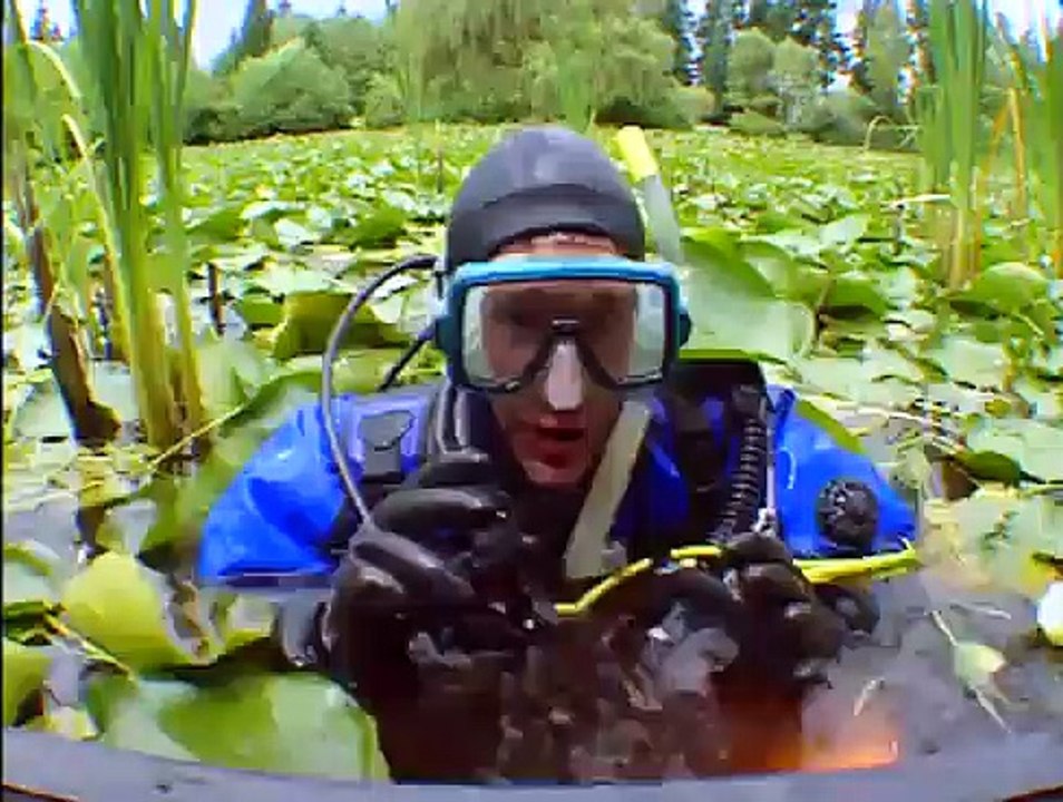 Bill Nye The Science Guy S04E13 Amphibians