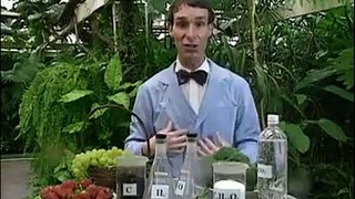 Bill Nye- The Science Guy - S02E06 - Food Web