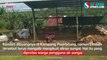 Warga Pengguna Sungai Cikaso Sukabumi Protes Limbah Pabrik Aci