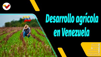 Al Aire | Propuestas para el desarrollo agrícola y pecuario en Venezuela
