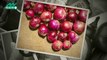 Surprising health benefits of eating raw onion during winter season