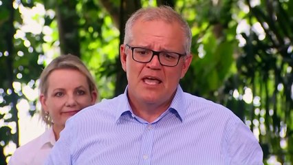 Australia anuncia un gasto millonario en mejorar la salud de la Gran Barrera de Coral