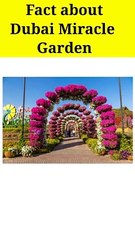 Fact about Dubai Miracle Garden