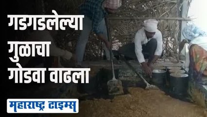 गुळाने तारलं, शेतकरी भावांनी अडीच एकरात सहा लाखांचं उत्पन्न घेतलं