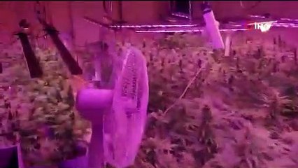 Tekstil atölyesi görünümlü uyuşturucu imalathanesine baskını