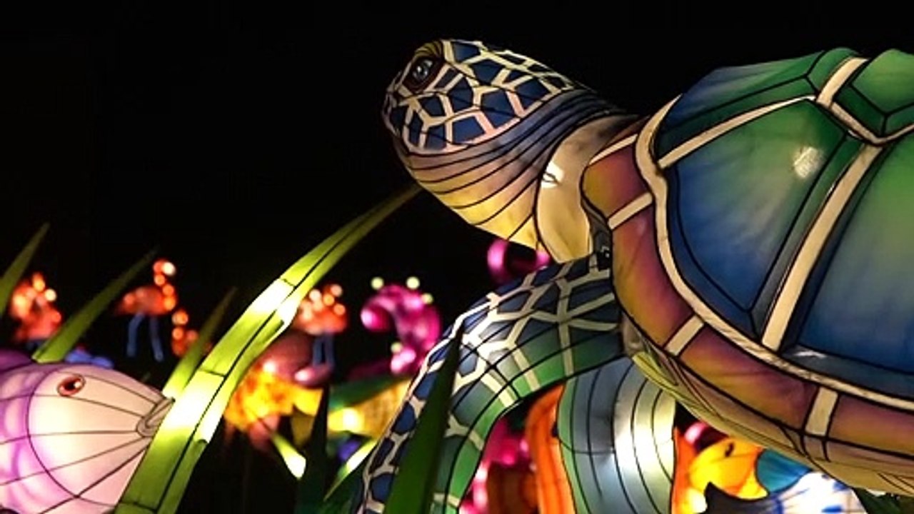 مصابيح ملونة تضيء حدائق مركز كينيدي في واشنطن احتفالا باقتراب رأس السنة القمرية