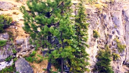 AMAZING Beautiful _ Nature with Birds Sounds _ Relaxing Music _ relaxing _ Sleep Music-