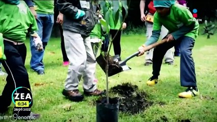 México y la carencia de una política ecológica integral