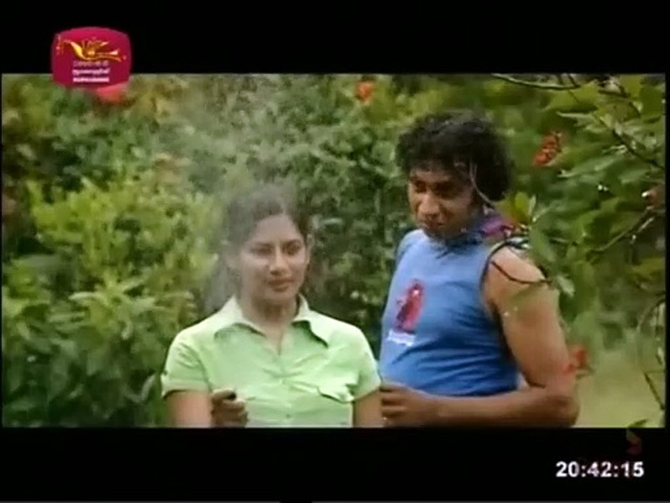 Miyagiya Premaya 28-01-2022