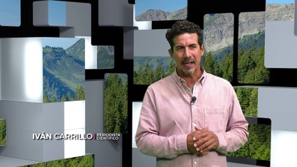 Reporte Climático 26 | Manejo forestal: la esperanza de la Amazonía Colombiana