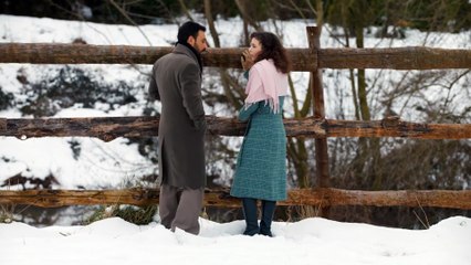 Karadayi Capitulo 269 (Audio Español)