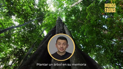 ¿Cómo afrontar el duelo tras la pérdida de tu mascota?