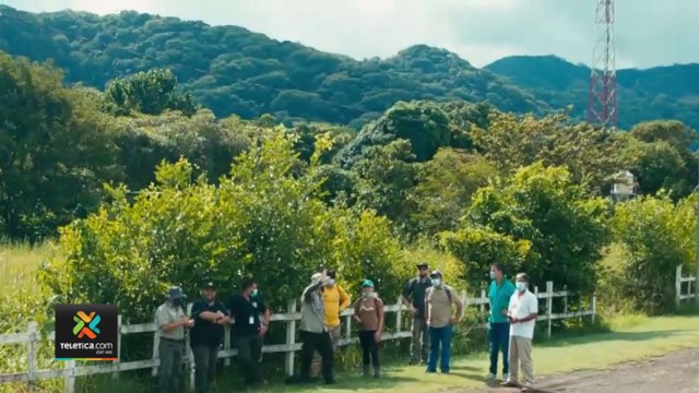 tn7-costa-rica-recibio-23.9-millones-por-acciones-contra-crisis-climatica-280122