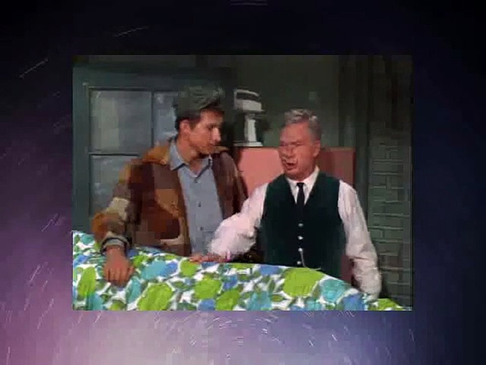 Green Acres S01 X 012 - Lisa Has A Calf