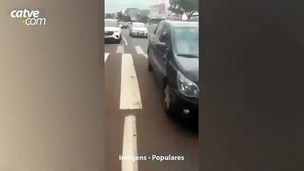 Cachorro faz manobra em veículo e quase causa acidente no PR