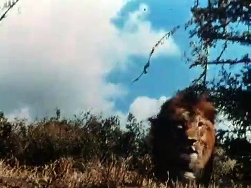 Tarzan (1966) Saison 0 - Opening (EN)